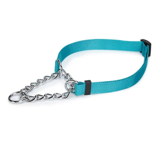 - Brand XX pet toy recommendationsBluebird Teal Guardian Gear Chain Martingale Dog Collar