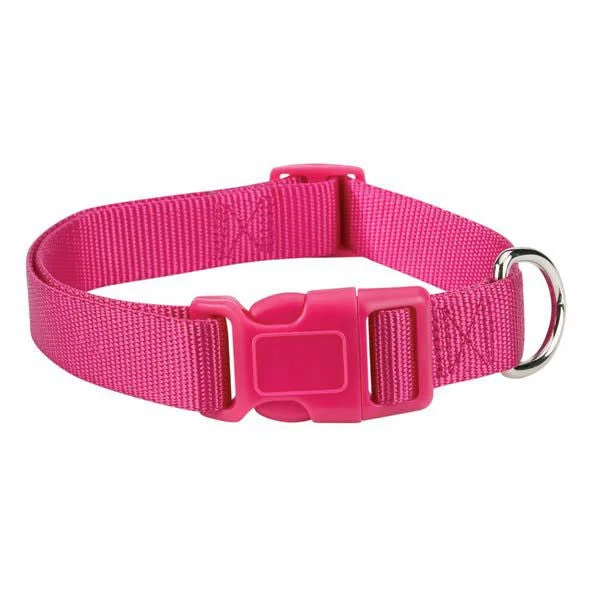 - Natural rubber pet toysRaspberry Pink Sorbet Fashion Nylon Adjustable Dog Collar