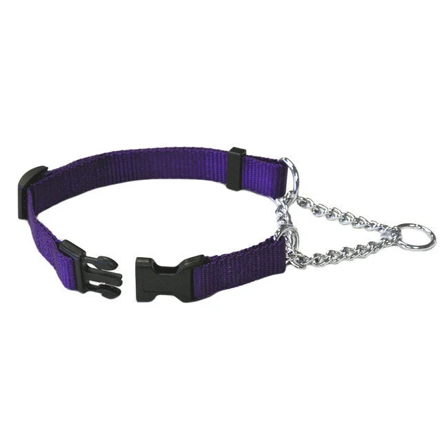 - Brand XX dog toy reviewsPurple Adjustable Chain Quick Release Martingale Dog Collar