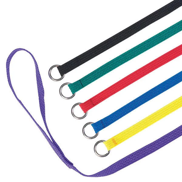 - Parrot toy selection6 Pack Bulk Nylon Kennel Slip Style Dog Leads