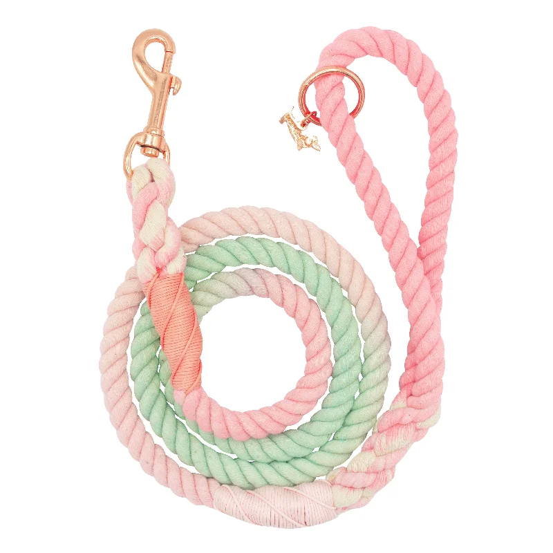 Dog Rope Leash - Sherbet