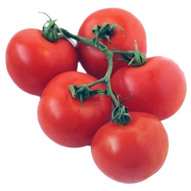 Wholegood Organic Vine Tomatoes   450g