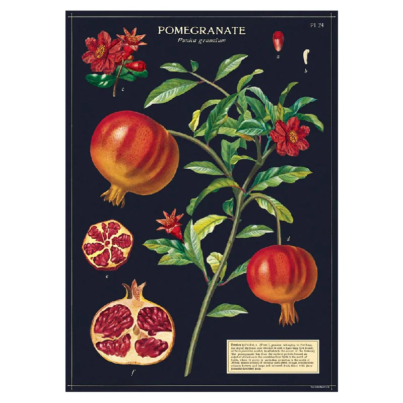 Cavallini Vintage Poster Pomegranate