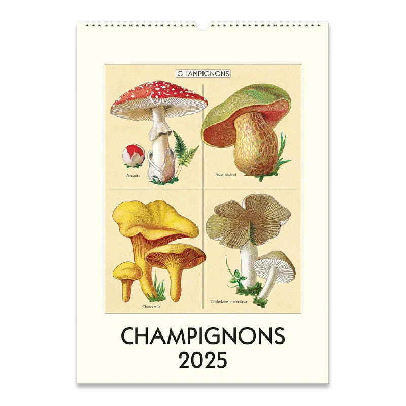 Cavallini 2025 Wall Calendar Mushrooms