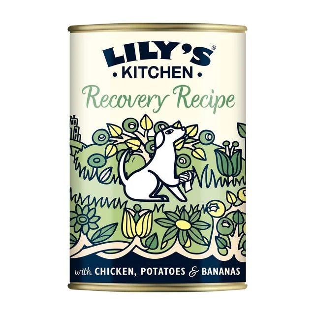 Lily's Kitchen Recovery Recipe for Dogs   400g