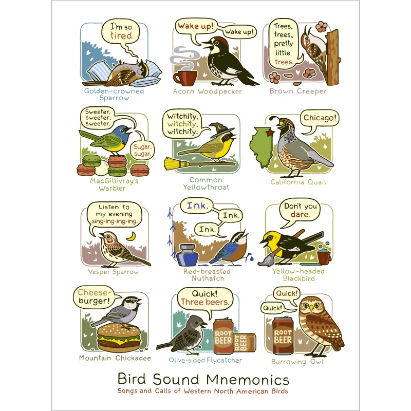 Bird Sound Mnemonics Print (Western) by Rosemary Mosco