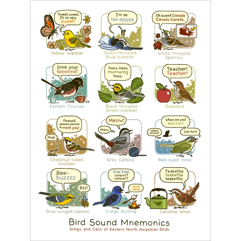 Bird Sound Mnemonics Print (Eastern) by Rosemary Mosco