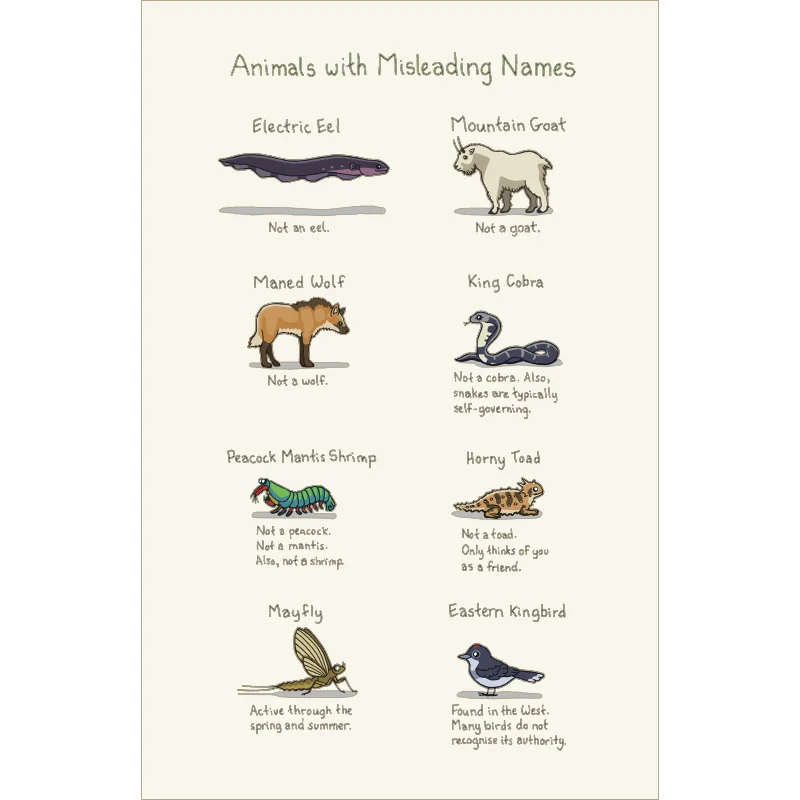 Animals With Misleading Names Print by Rosemary Mosco