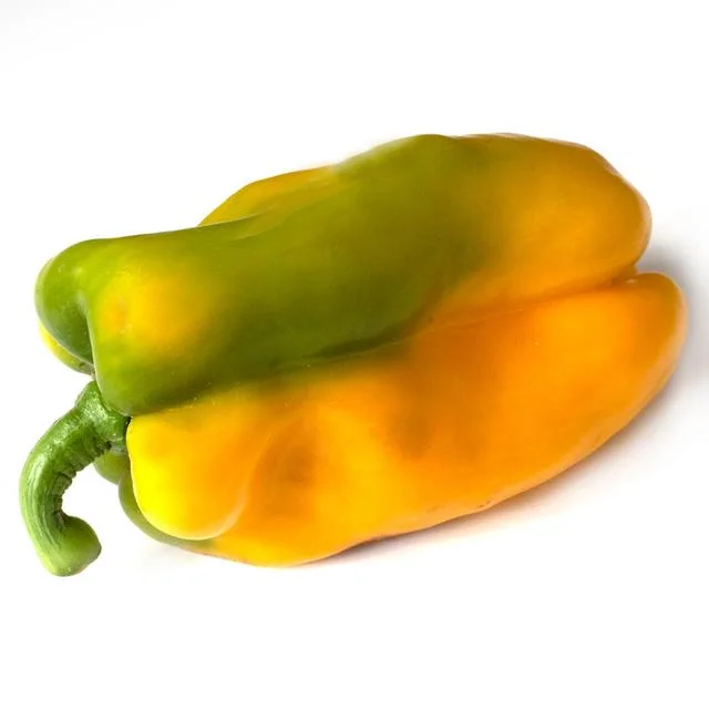 Natoora Italian Large Yellow and Green Pepper