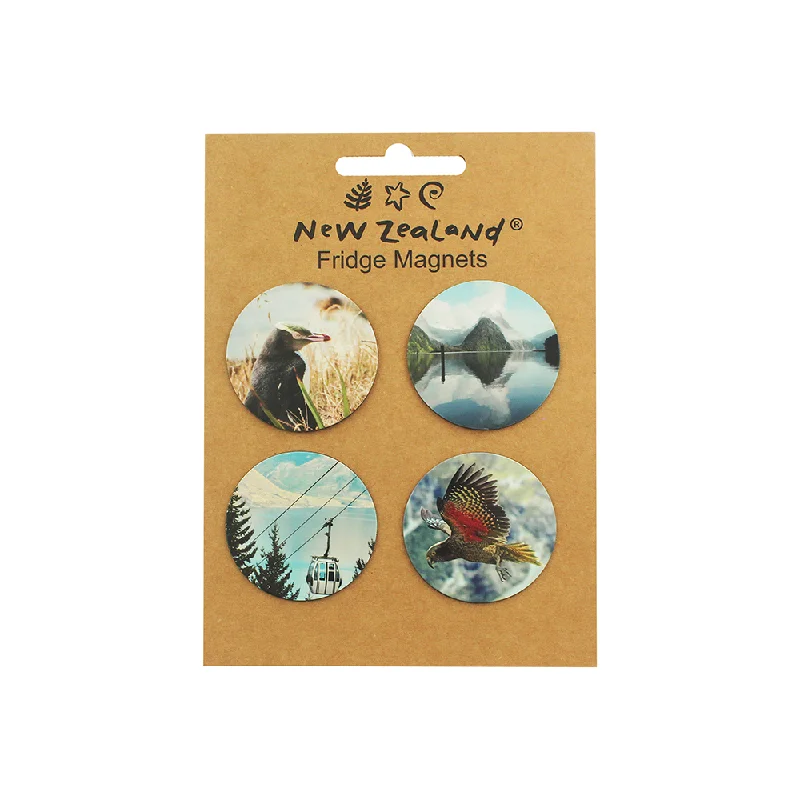 New Zealand Fridge Magnets South Island 4 Piece Set