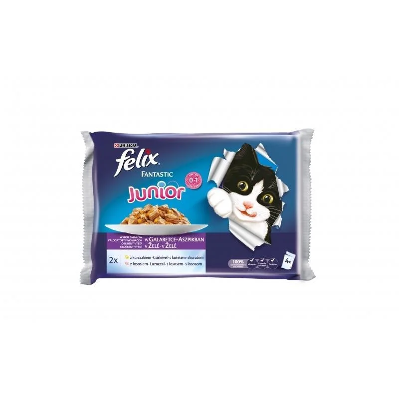 9. **Cat clothes cute model**Felix Fantastic Junior Multipack Chicken and Salmon - Pouch 4x100g