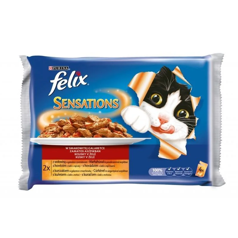 3. **Cat backpack space capsule**Felix Fantastic Multipack Meat and Chicken in Jelly - Pouch 4x100g